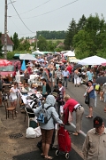 La Grande Fouille  2013 à Rougemont (115)